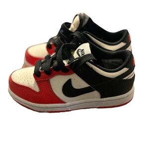 Toddler Boy Nike Dunks